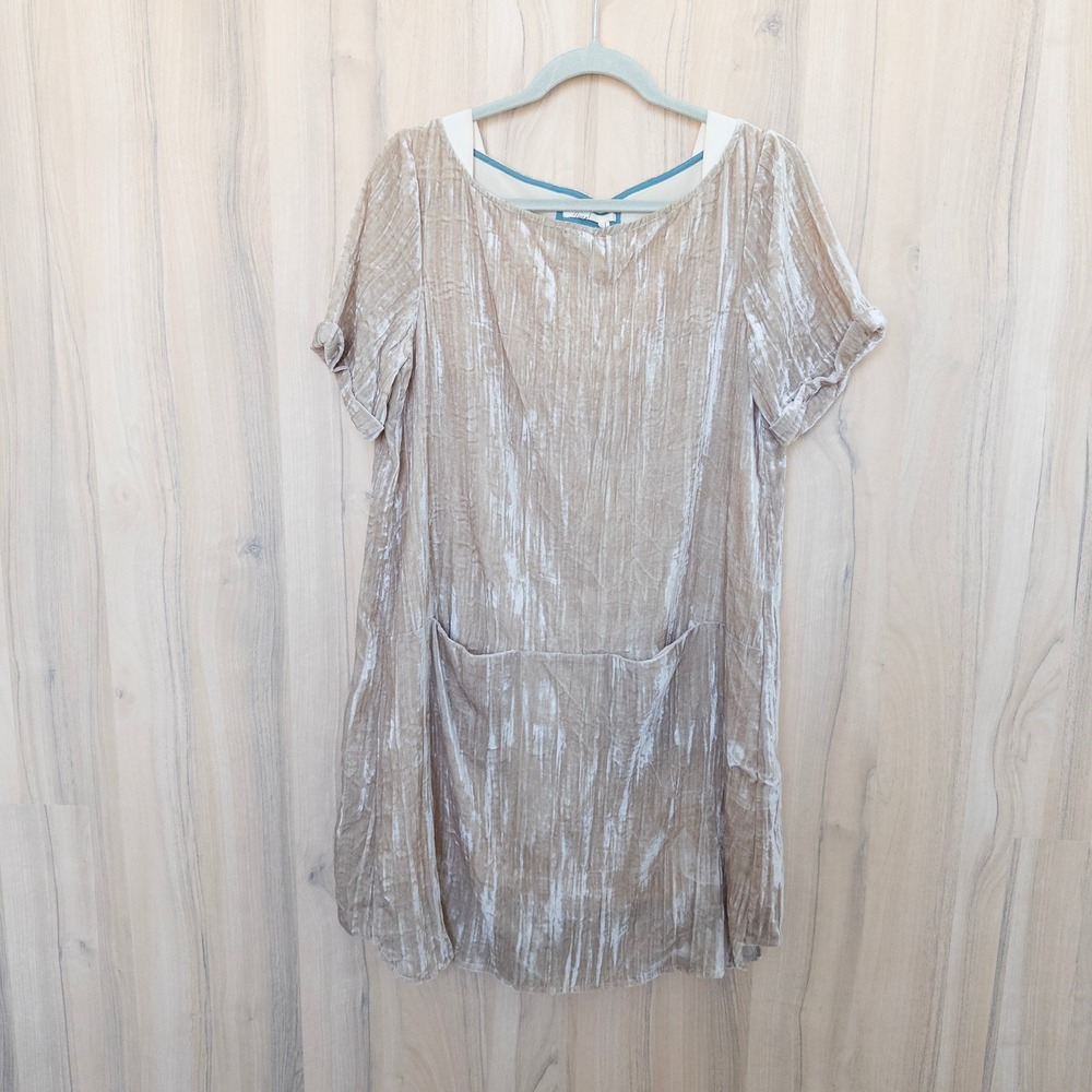 Anthropologie Floreat Crushed Velvet Mini Dress S Champagne Beige Boho Romantic